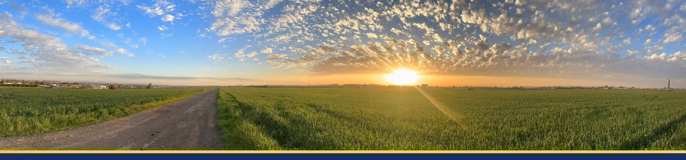 Description of the image